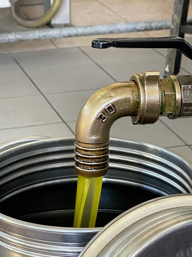 Olio di Olive – Bild 4